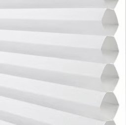 Cool White