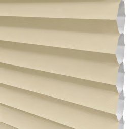 Parchment